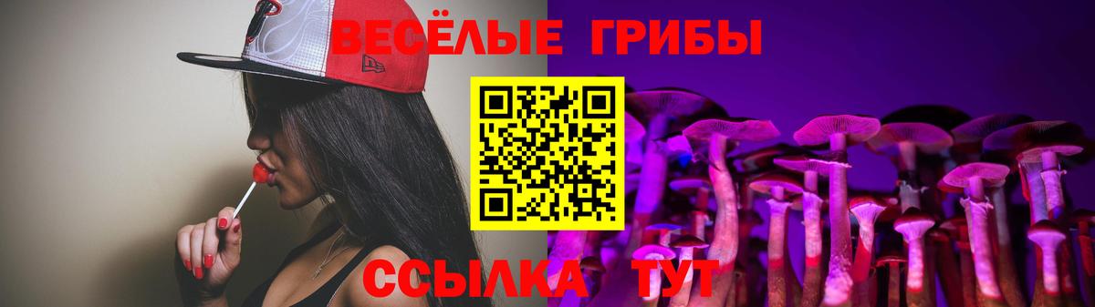 Псилоцибиновые грибы ЛСД  как найти закладки  Галлюциногенные грибы Cubensis  Гусев  Вход с VPN 