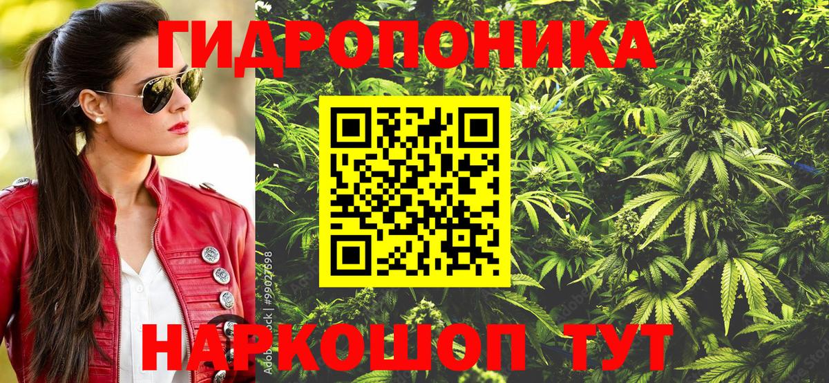 Каннабис марихуана Гусев